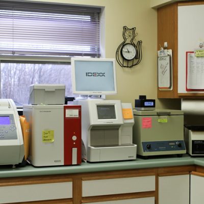 Counter top of back vets office. Counter top is covered with various medical devices such as centrifuge.